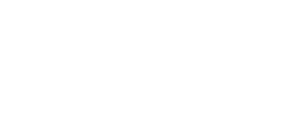 Logo Erasmus programme